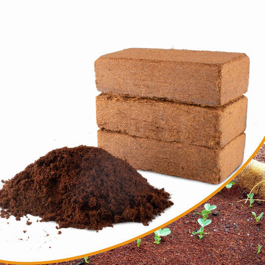 Premium Organic Coconut Coir Bricks